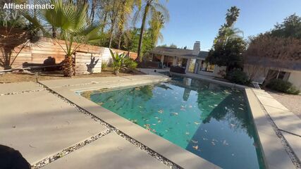 Ebony Girls Sex POV Hardcore